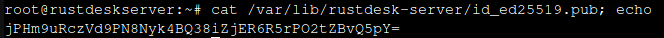 Terminal showing the cat command to display the Rustdesk server public key from /var/lib/rustdesk-server/id_ed25519.pub with the key output visible