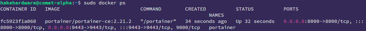 Docker PS Output Showing Portainer Container Running
