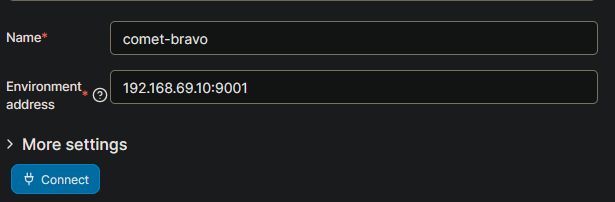 Portainer Agent Environment Configuration