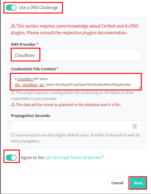 DNS Challenge Configuration
