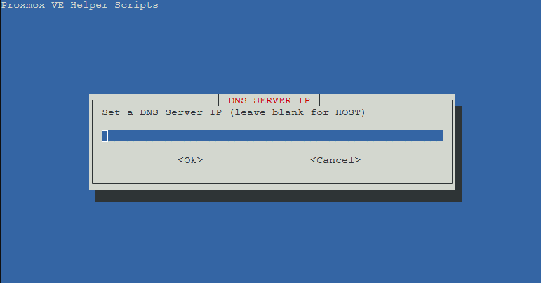 DNS Server IP
